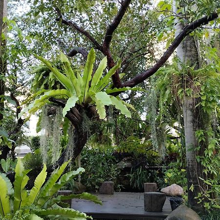 Sareeviengping Hotel Chiangmai Chiang Mai Buitenkant foto
