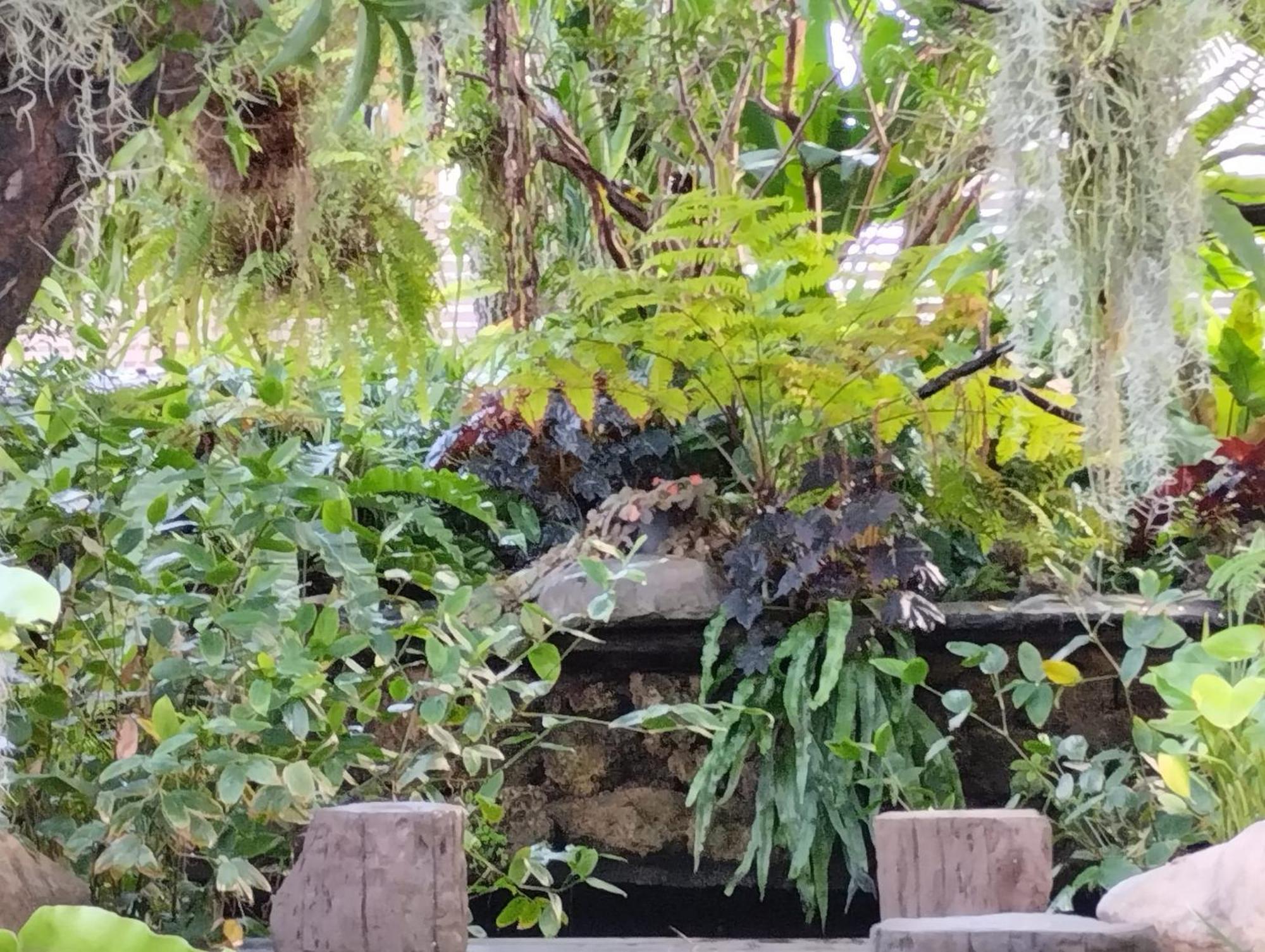 Sareeviengping Hotel Chiangmai Chiang Mai Buitenkant foto