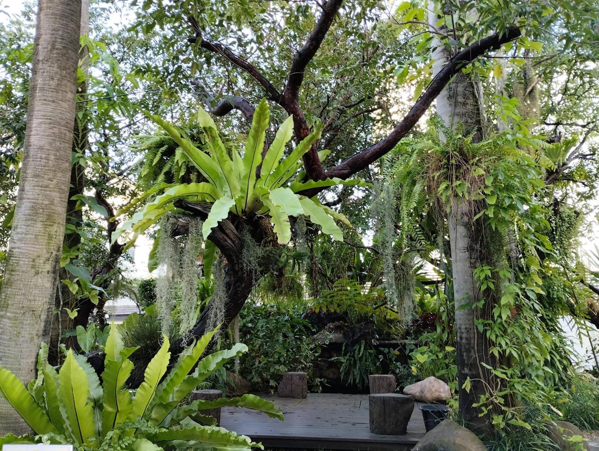 Sareeviengping Hotel Chiangmai Chiang Mai Buitenkant foto